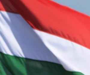 yapboz Macaristan bayrağı